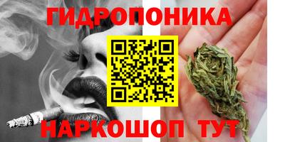 ALPHA-PVP Можга