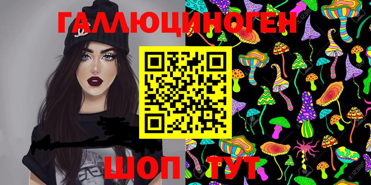 Псилоцибиновые грибы Psilocybe Шатура